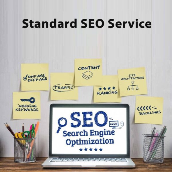 Standard SEO Service