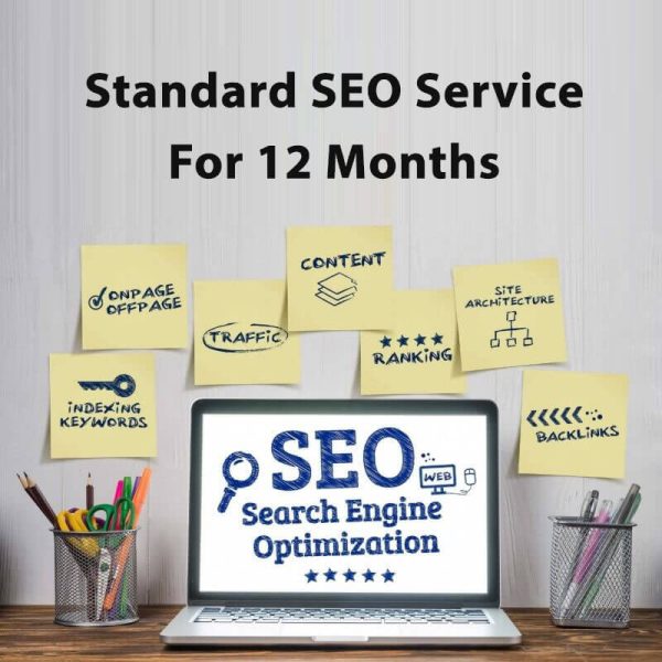 Standard SEO Service For 12 Months