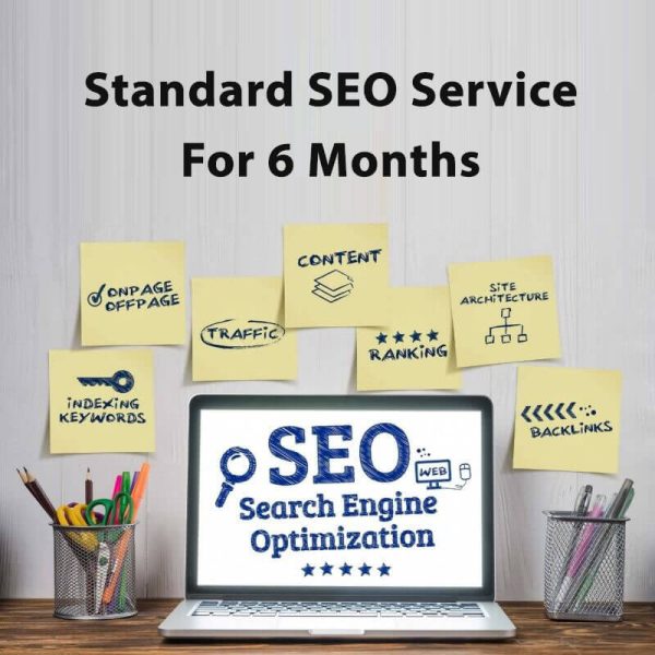 Standard SEO Service For 6 Months