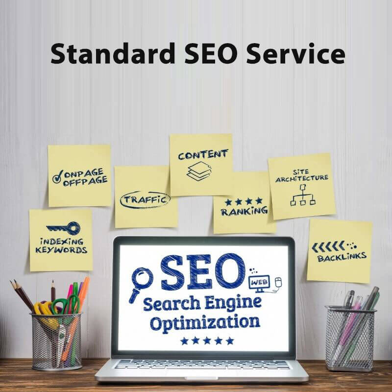 Standard SEO Service